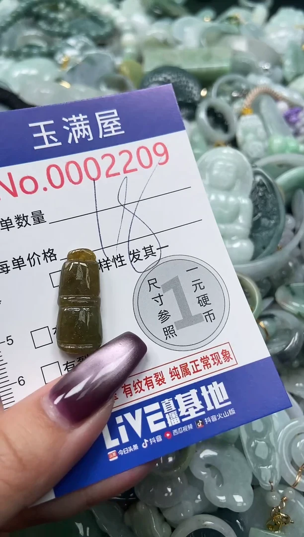 颈饰未镶嵌翡翠2209