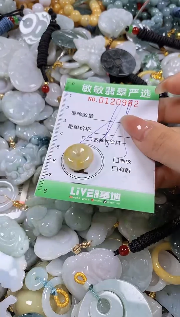 【闪购商品】翡翠颈饰未镶嵌闪购0120982多样性发其一