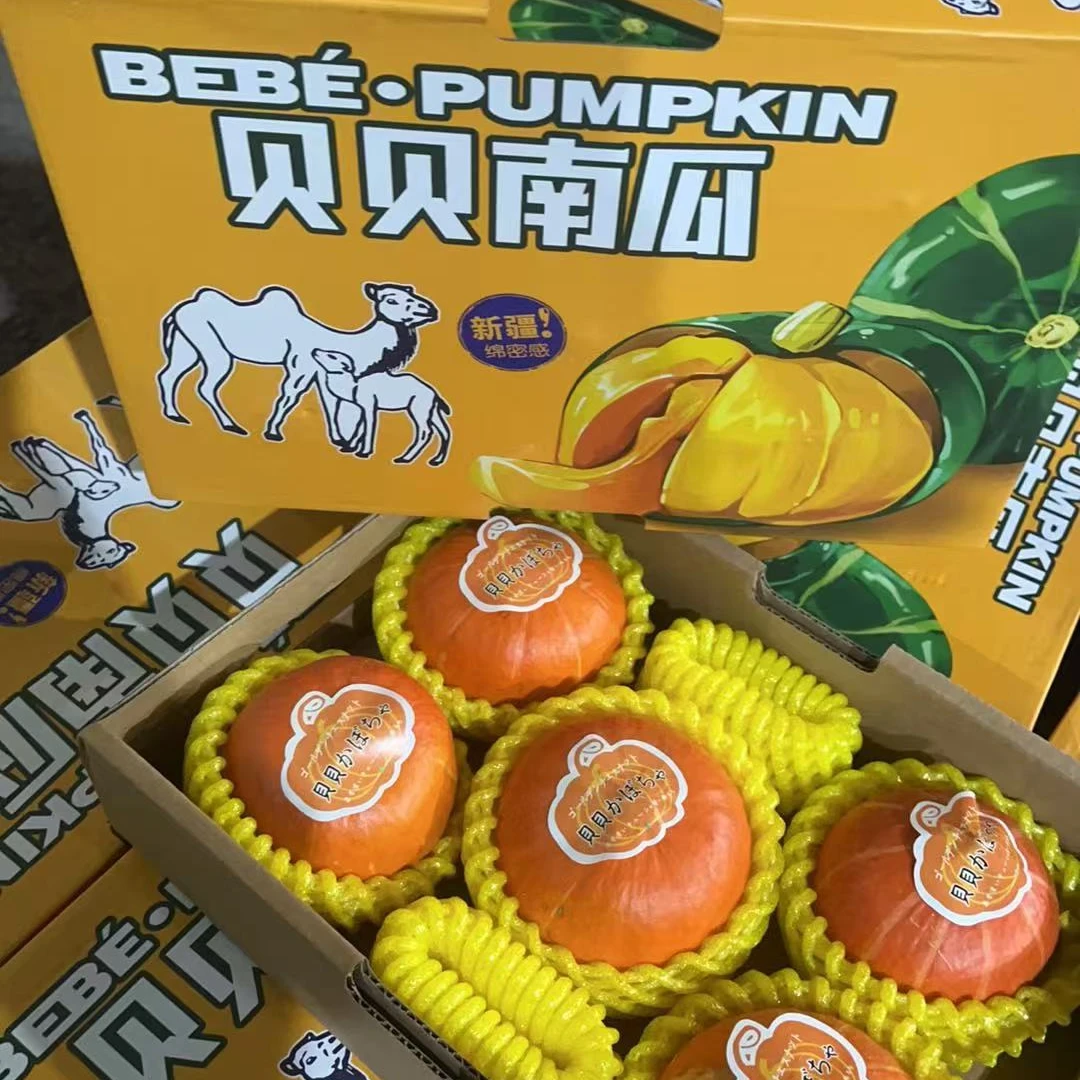 【周谷堆水果】黄金贝贝南瓜净重2斤装栗香浓郁细腻绵滑新鲜（13）