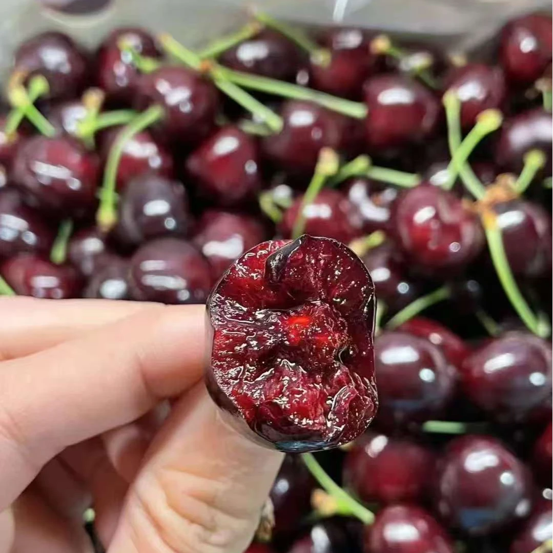 【同城配送】智利4J车厘子5斤海运新鲜车厘子脆甜内附果径卡桑提娜智利