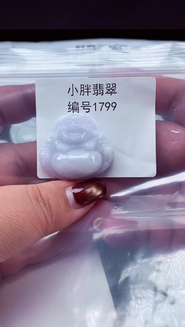 颈饰未镶嵌翡翠缅甸天然A货翡翠1799