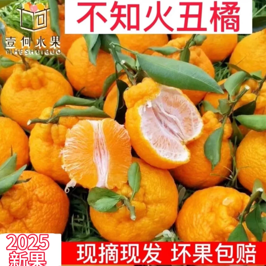 【壹何水果】四川丑橘不知火新鲜应季水果产地直发柑橘新鲜发货