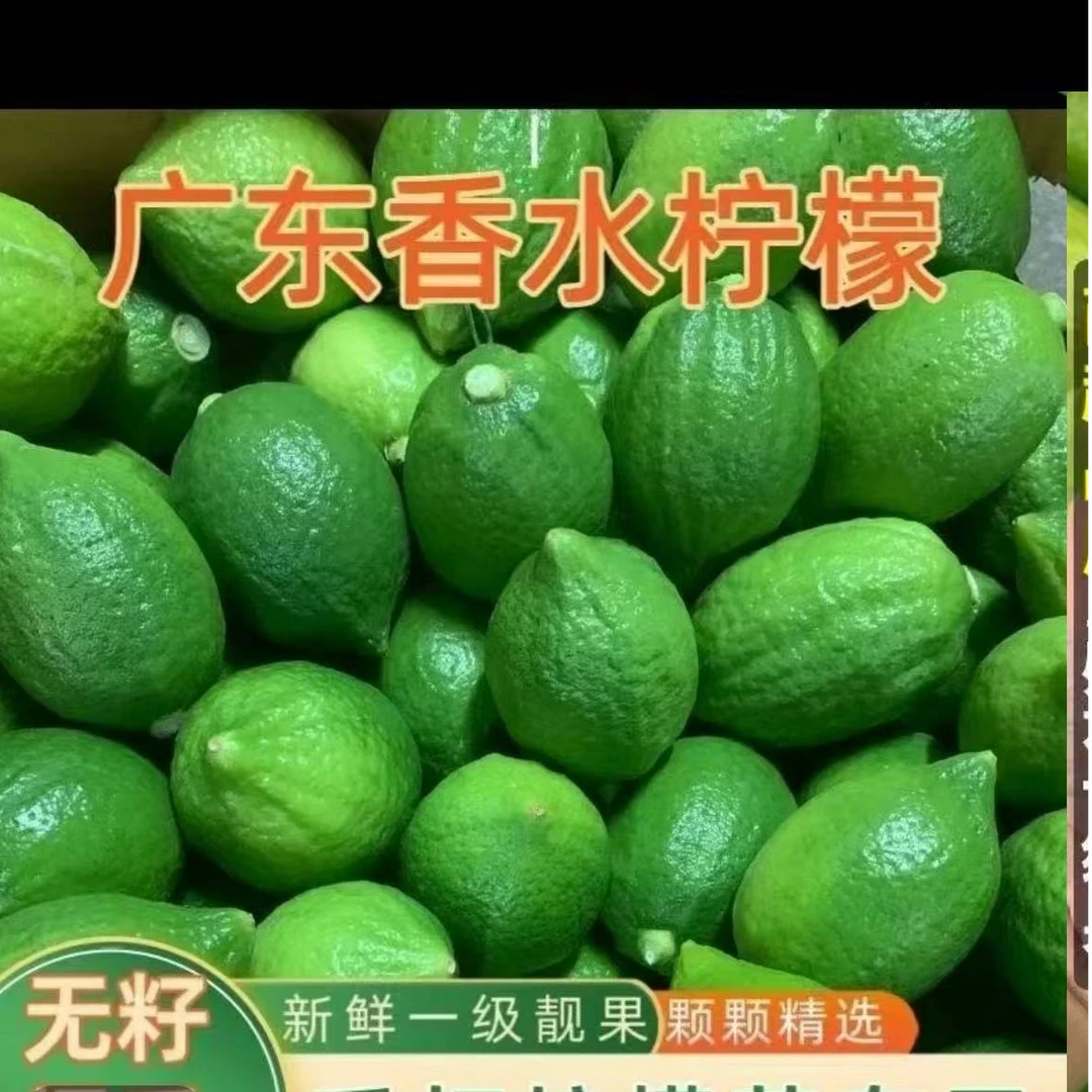 醉鲜香新鲜采摘广东香水柠檬二级无籽果香浓郁当季水果整箱包邮