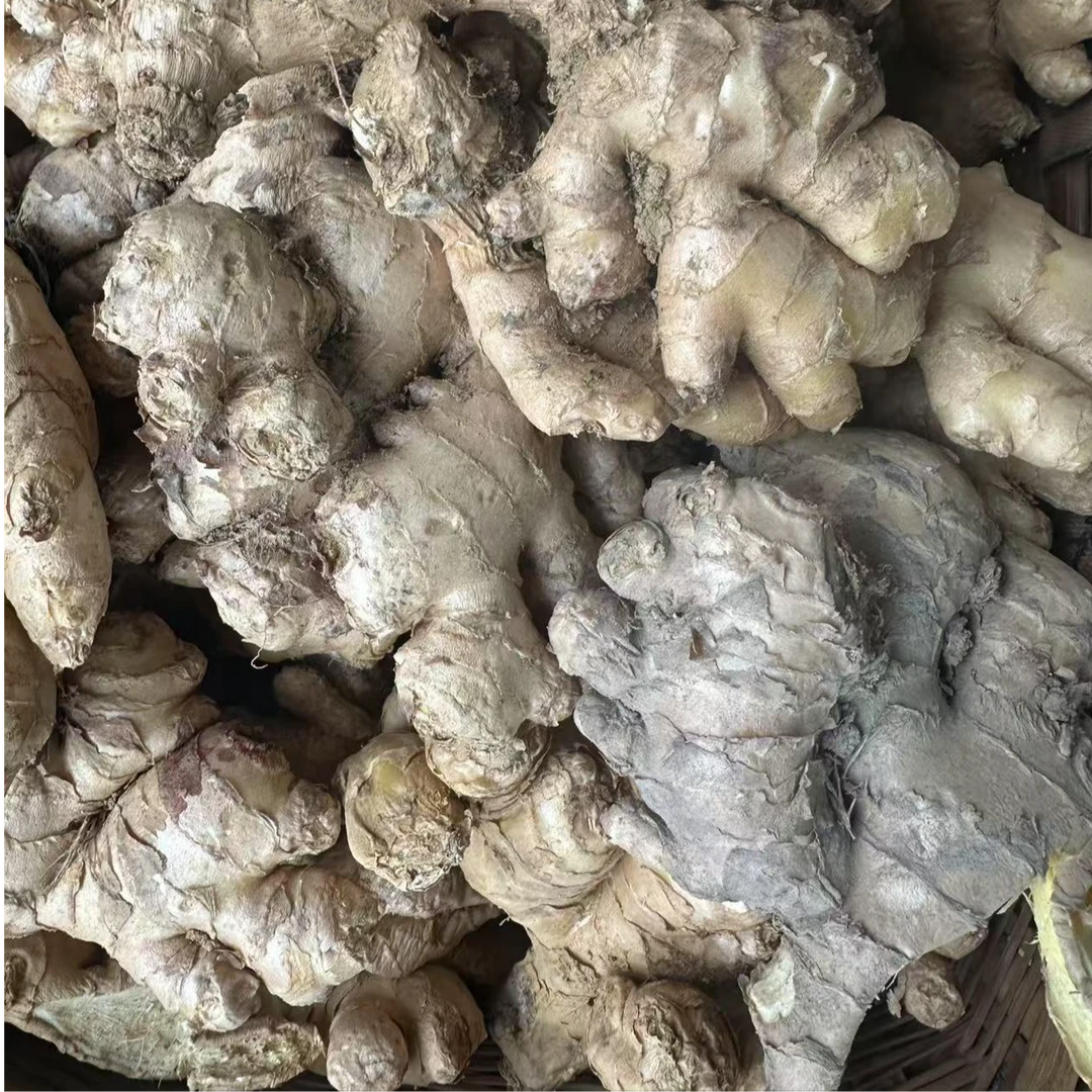 云南高山甄选小黄姜