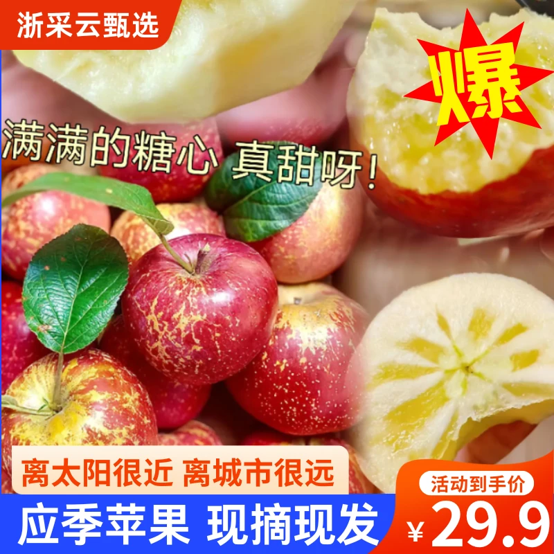 【浙采云甄选】大凉山助农冰糖心丑苹果新鲜脆甜产地当季新鲜水果