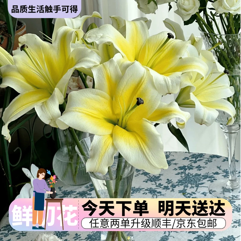 热卖『香水百合』今日下单明日送达 生活鲜切花同城批发直播