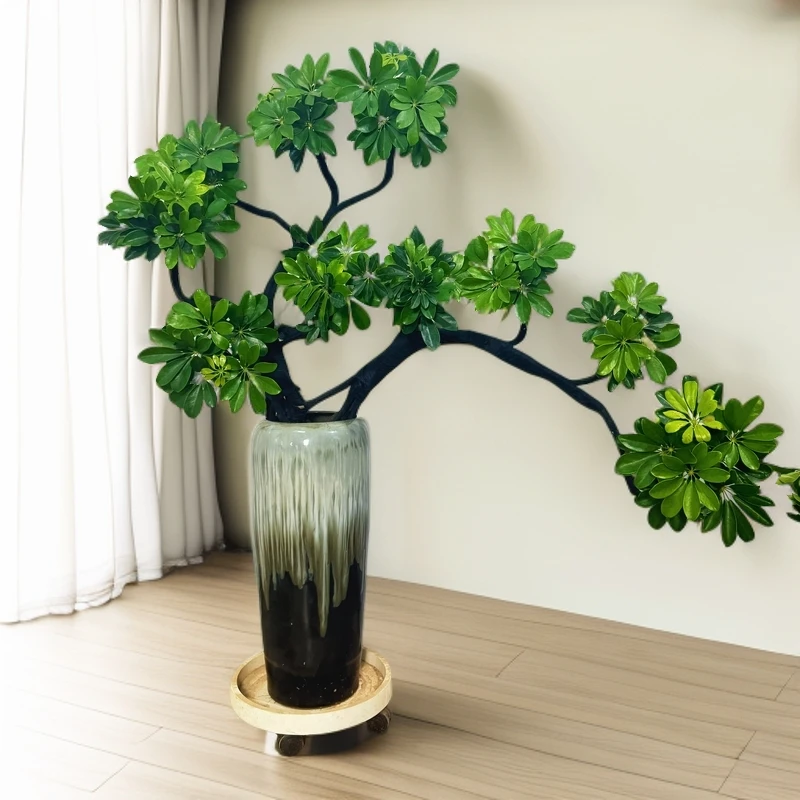 造型鸭脚木客厅大盆栽八方来财大型家庭室内植物鸭掌木网红绿植