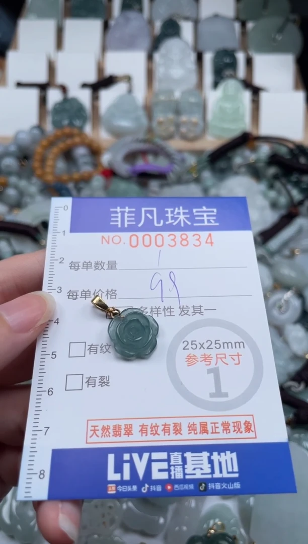翡翠未镶嵌颈饰00..3834