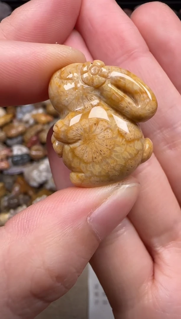 硅化珊瑚（珊瑚玉）未镶嵌颈饰154