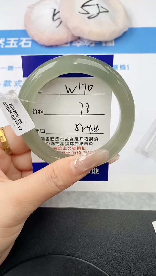 未镶嵌手镯石英质玉w170-DB