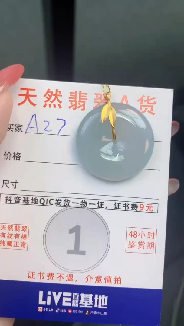 颈饰未镶嵌翡翠天然A货翡翠挂件
