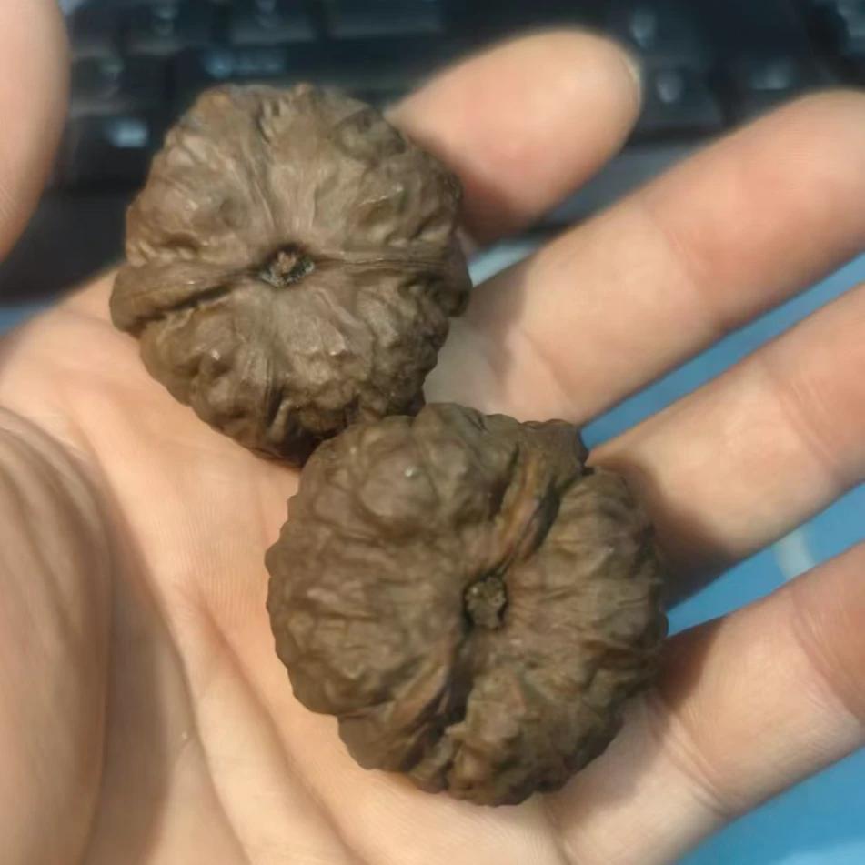 地焖巧克力色蛤蟆头文玩精品另类核桃有牌面的核桃