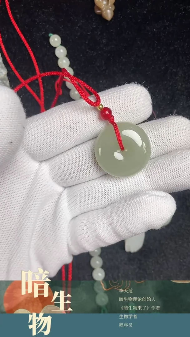 【闪购商品】和田玉吊坠(赠链)未镶嵌深色