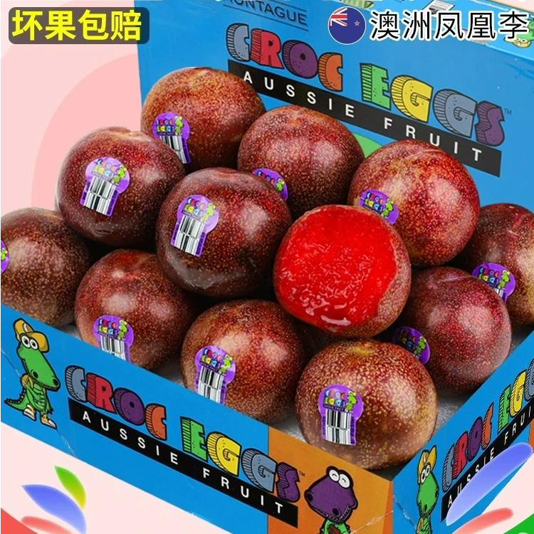 5斤凤凰李恐龙蛋澳洲进口空运李子1斤新鲜水果孕妇水果当季顺丰