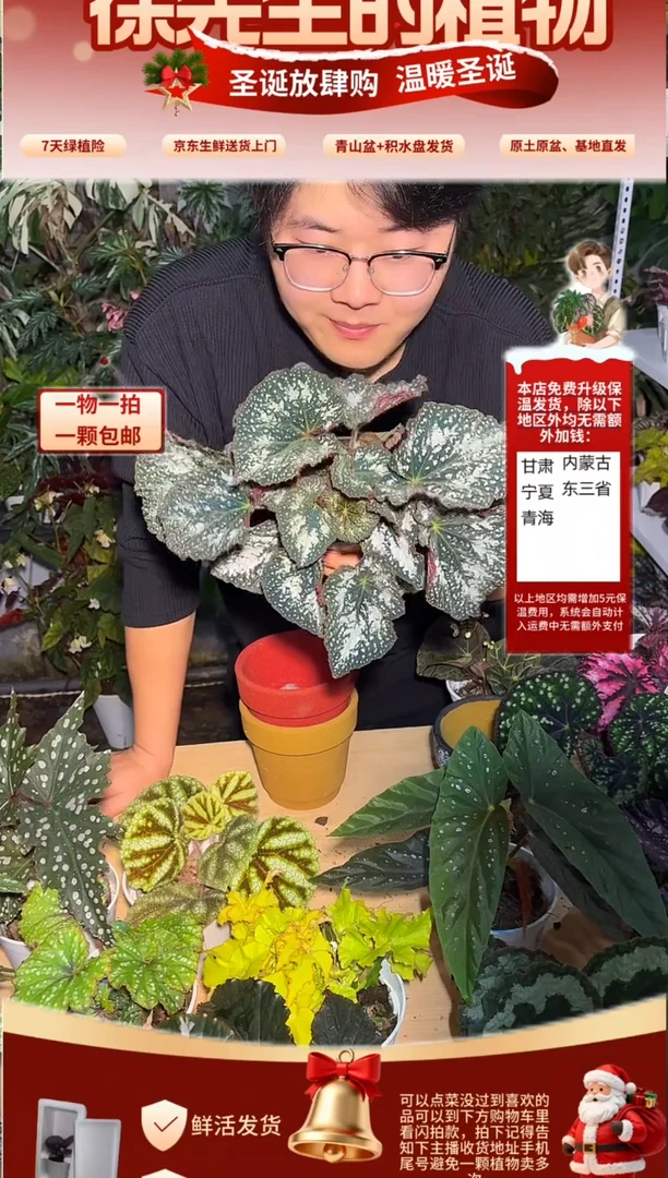 完全开放卢克莫里也卢克莫里也