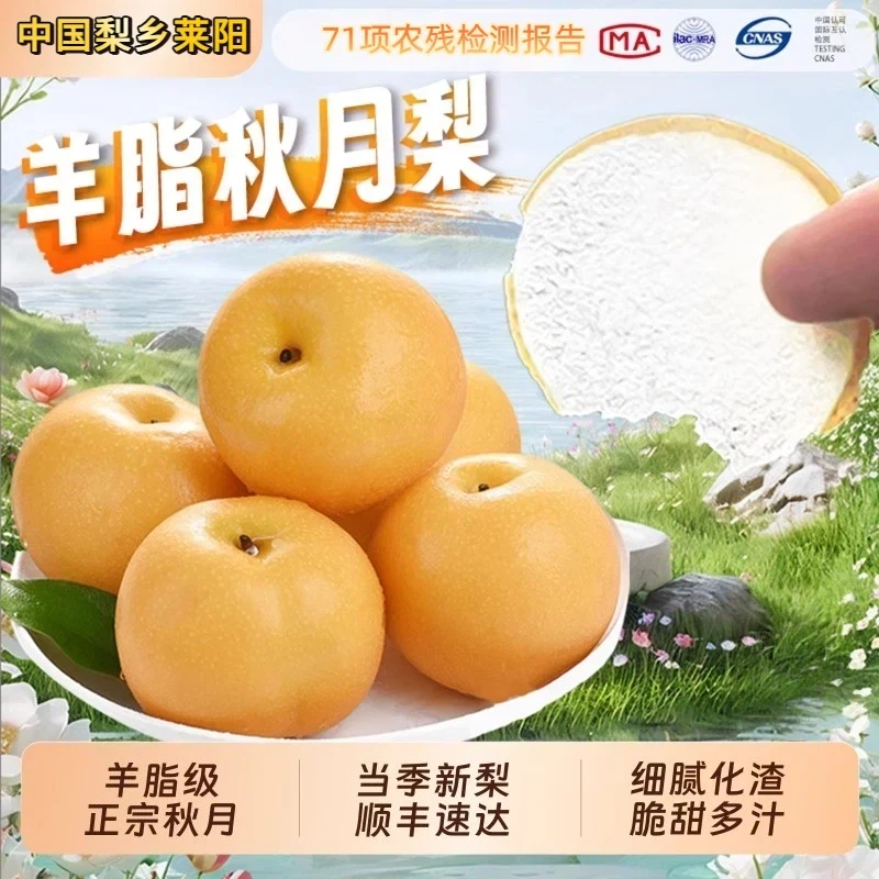 正宗山东莱阳秋月梨羊脂礼盒秋冬应季梨汤清润宝妈助农