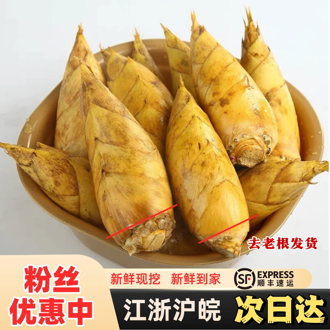 临安发货冬笋高山黄泥现挖新鲜冬笋鲜嫩竹笋3斤大/5斤中/5斤大
