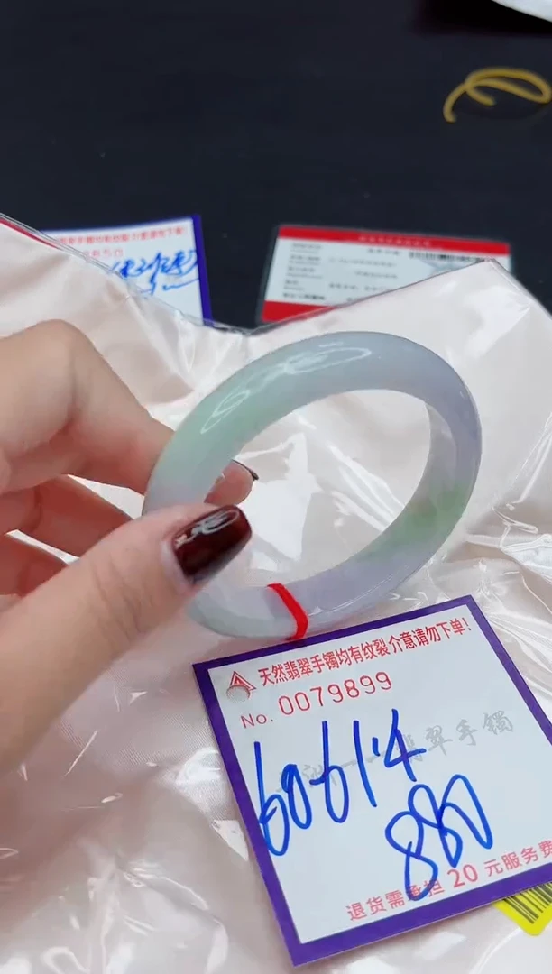 未镶嵌手镯翡翠11111