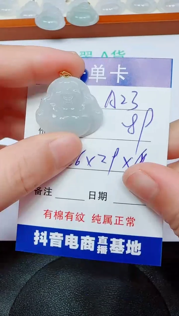翡翠未镶嵌吊坠(赠链)A23