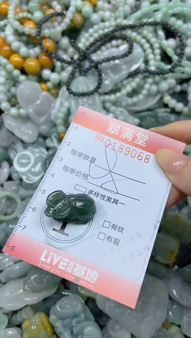 颈饰未镶嵌翡翠闪购0189068