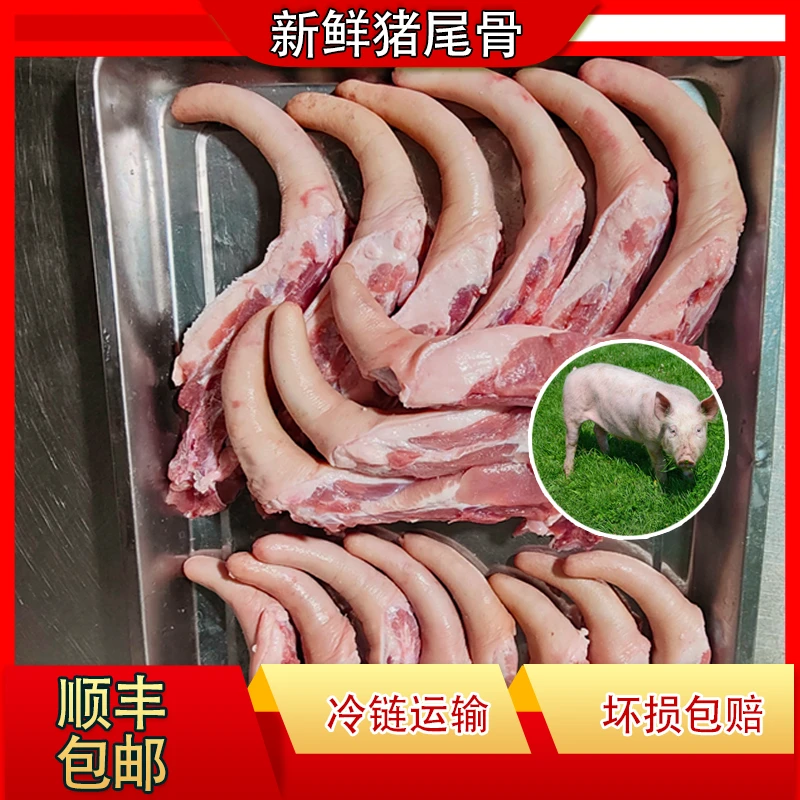 新鲜猪尾巴短尾5斤带尾骨肉猪尾优质食材批发煲汤食用猪骨
