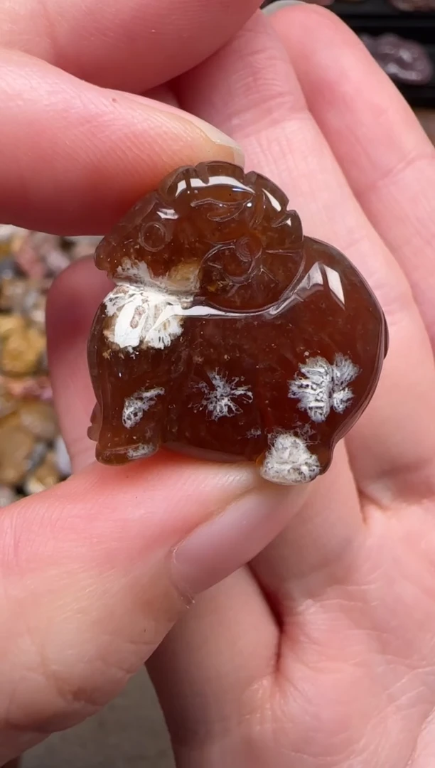 颈饰未镶嵌硅化珊瑚（珊瑚玉）400