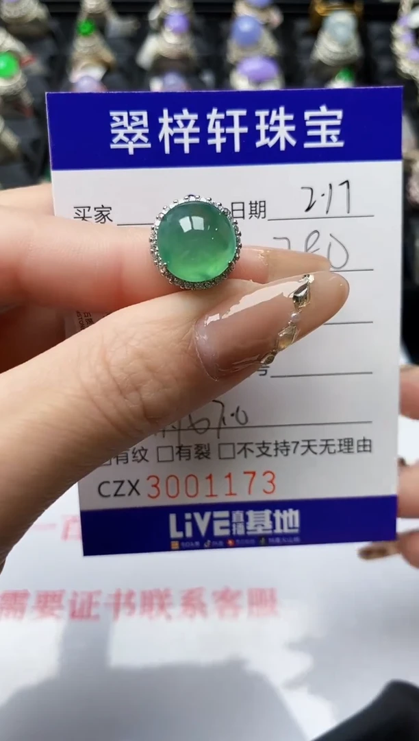 【闪购商品】翡翠戒指银S925镶嵌/1173