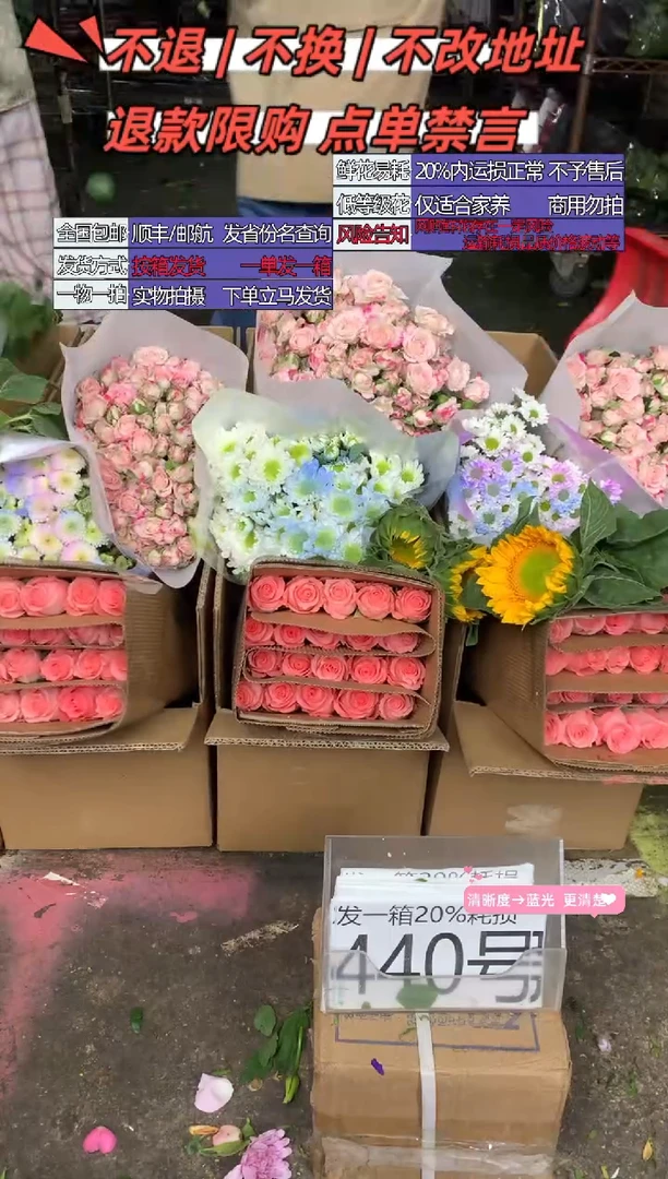 440号♥含20%耗损发一箱