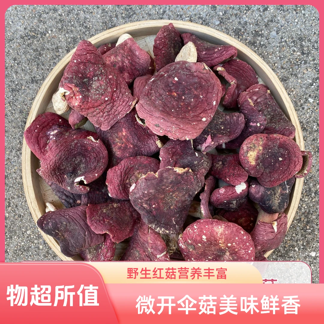 【精选开伞菇】月子红菇干货家庭营养煲汤炒菜食材食用菌250g/500g