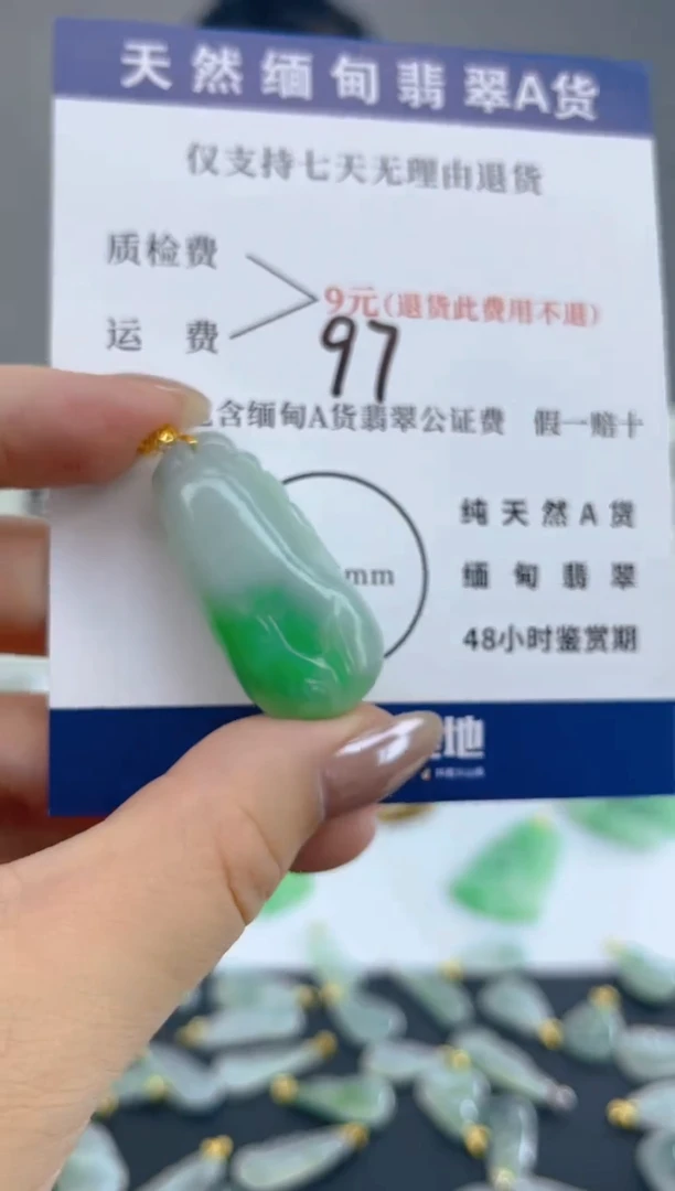 颈饰18K金镶嵌翡翠天然A货翡翠