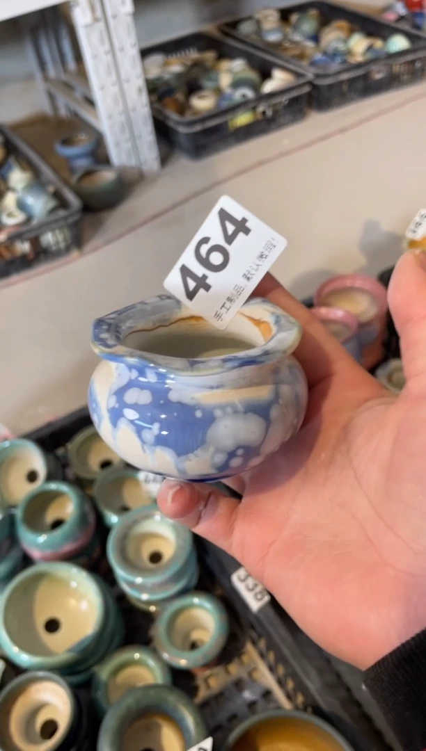 瓷片464小芳直播编号