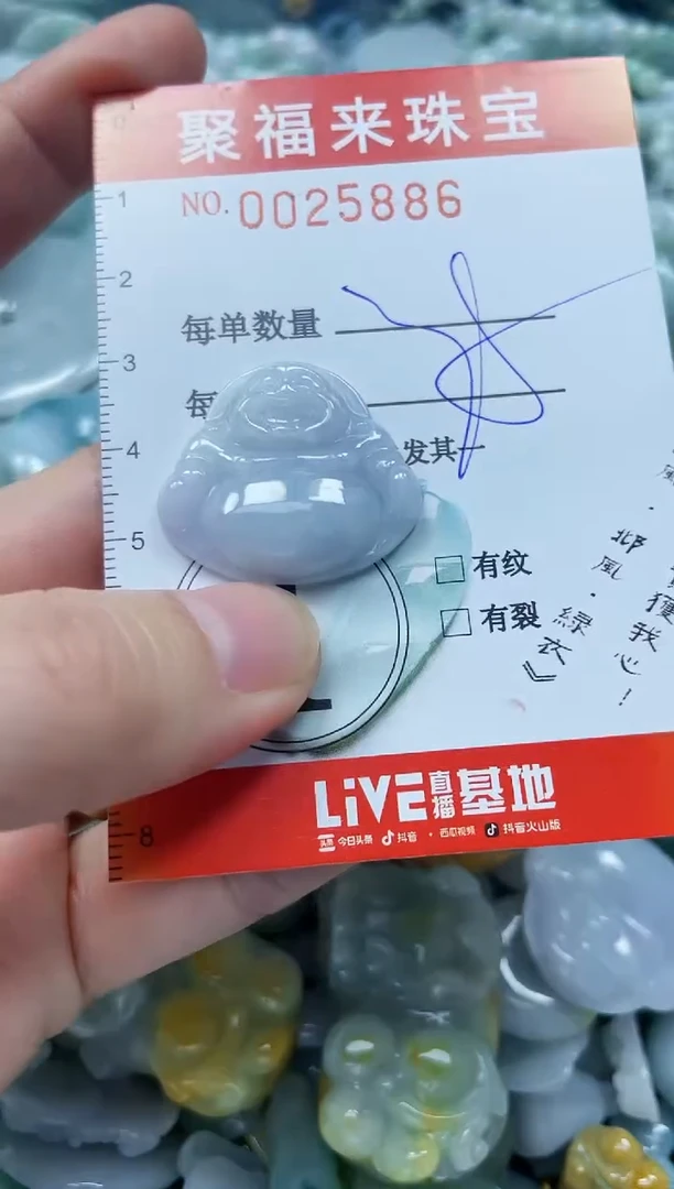 【闪购商品】翡翠颈饰未镶嵌闪购0025886