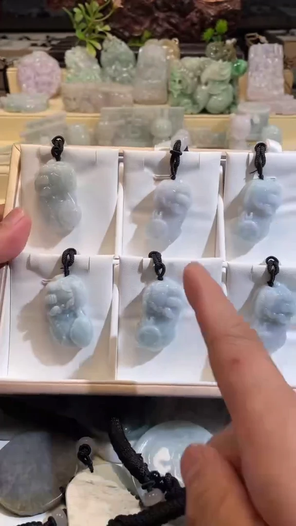 翡翠未镶嵌颈饰7/22/069多样性发其一