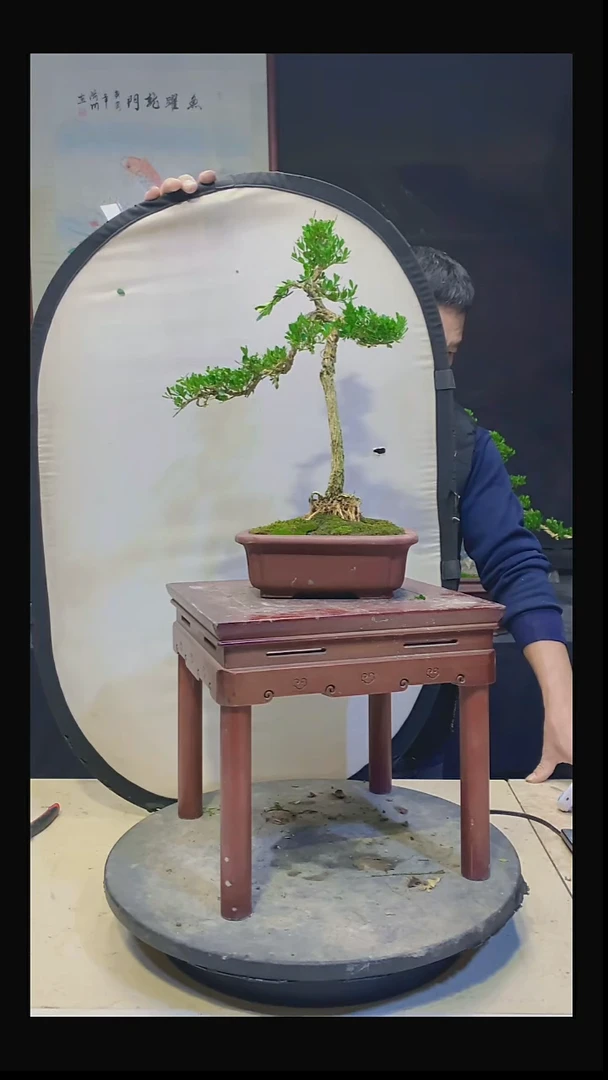 无花朵?***风1111111111