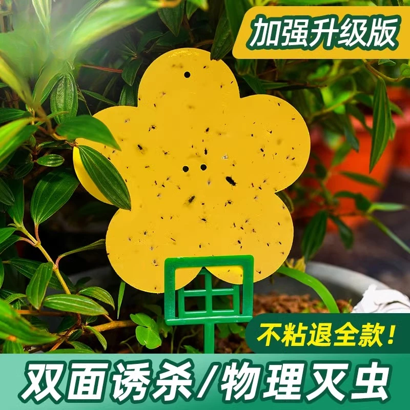 【加强升级】花型粘虫板双面粘虫板家用花卉粘虫纸黄色果蝇诱虫板诱