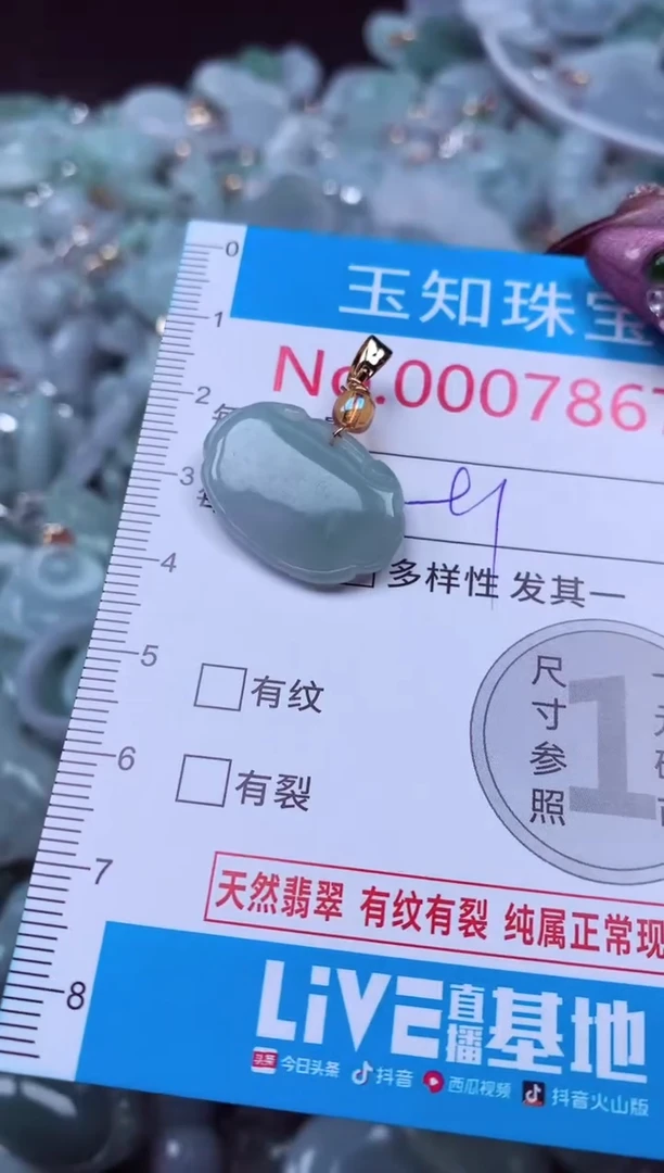 吊坠(不含链)未镶嵌翡翠7867