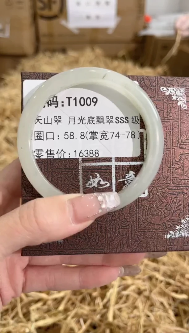 未镶嵌手镯石英质玉D1009