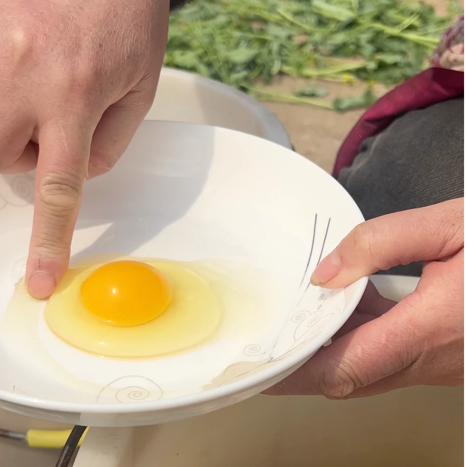 金华梨园散养土鸡蛋新鲜走地鸡草鸡蛋新鲜土鸡蛋农家散养正宗无抗