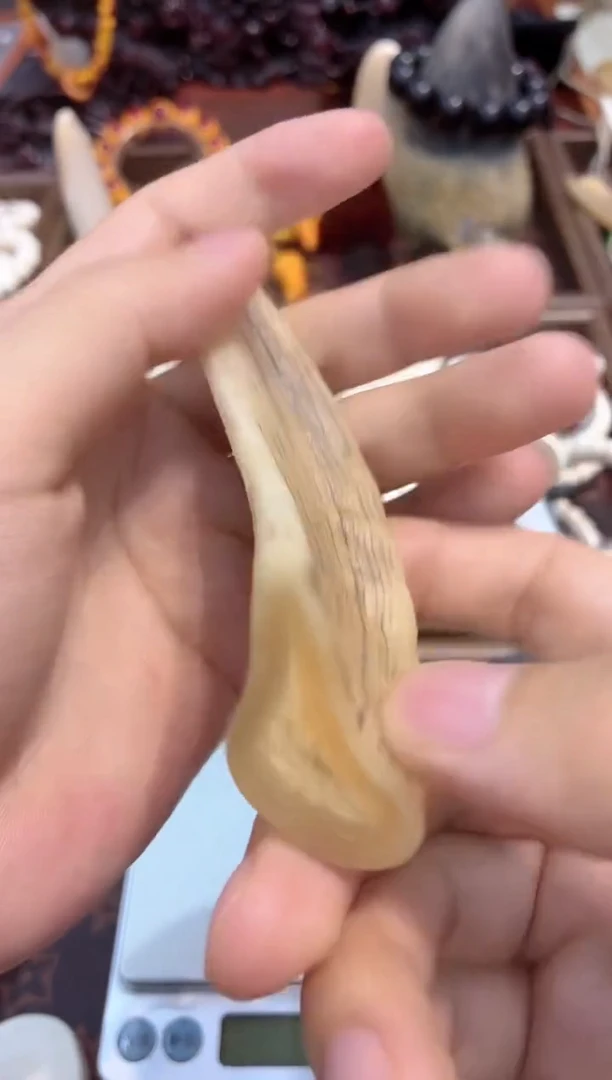 猛犸猛犸++++++120