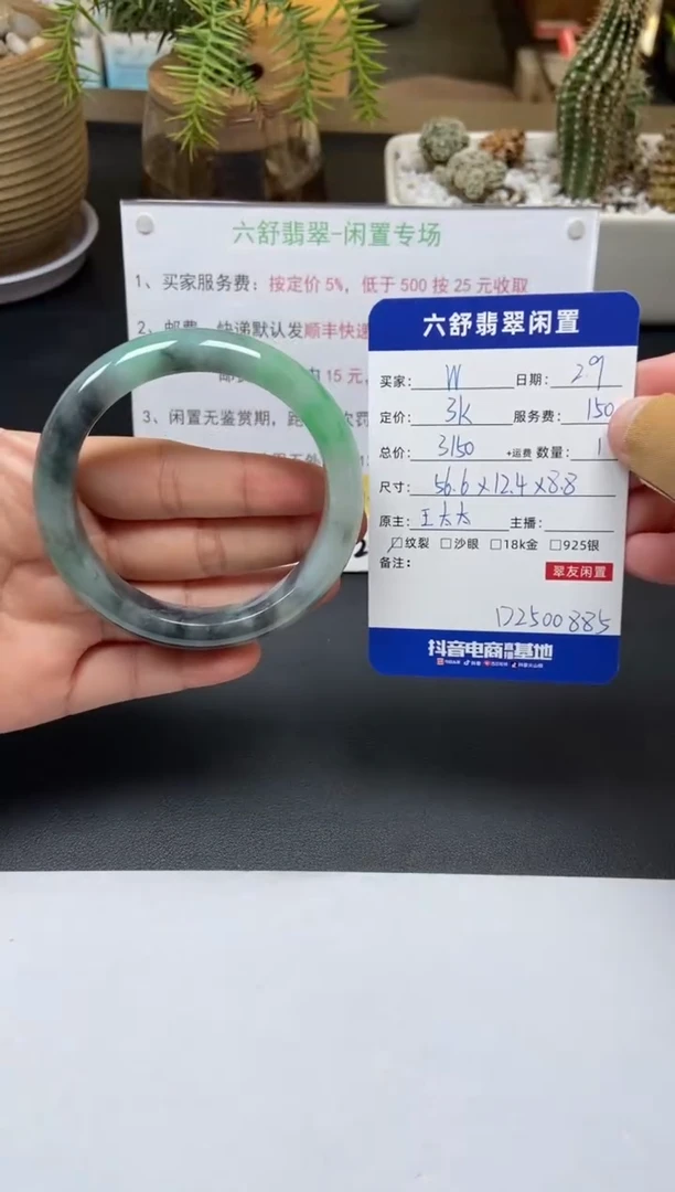 【闪购商品】翡翠手镯未镶嵌D2500885