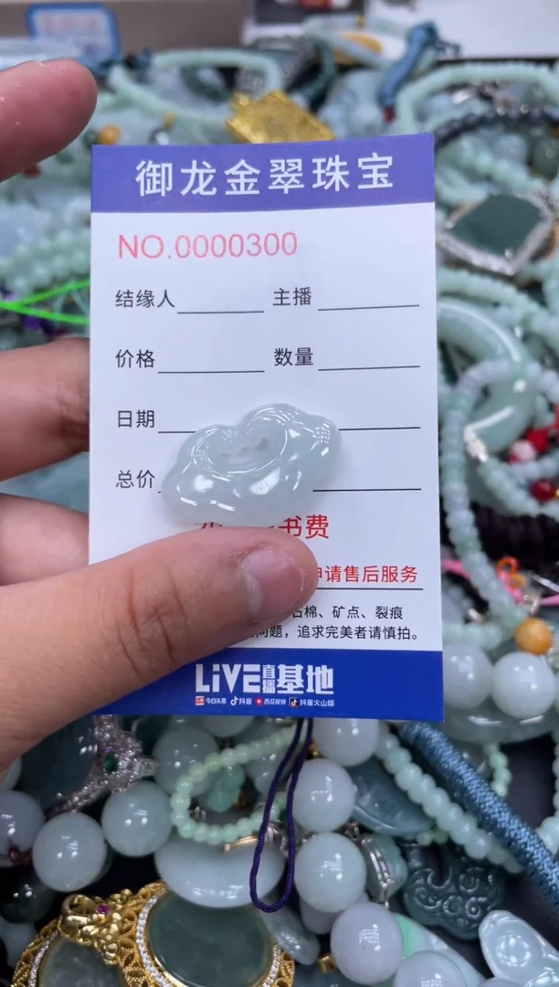 翡翠未镶嵌颈饰051