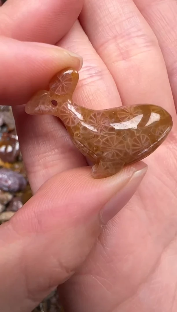 硅化珊瑚（珊瑚玉）未镶嵌颈饰319