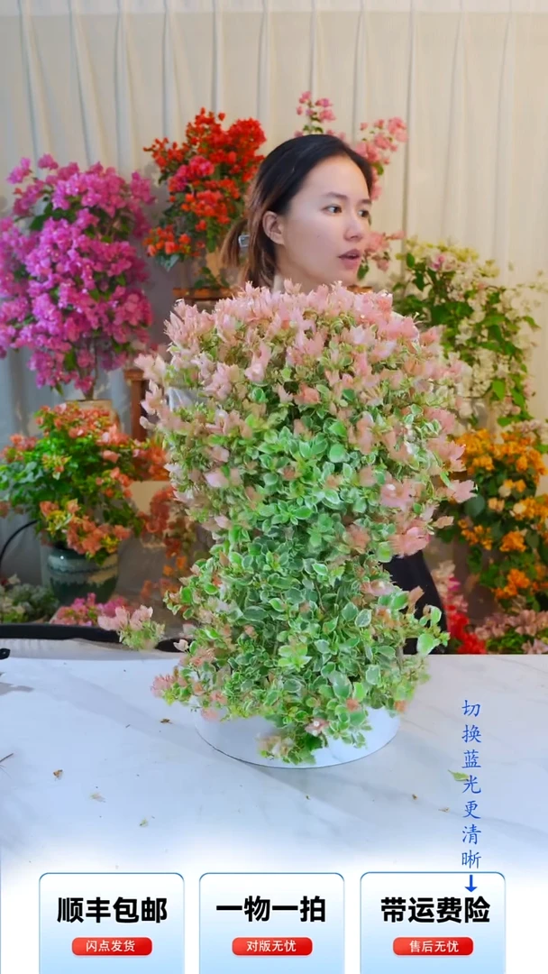 大部分开放少量花苞少女心