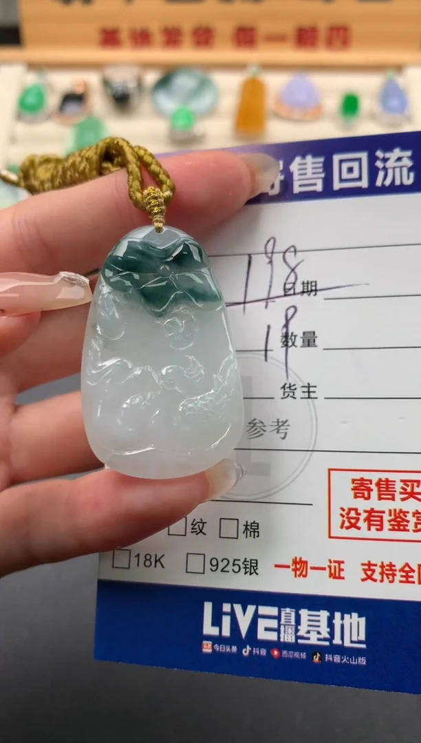翡翠未镶嵌颈饰10143216