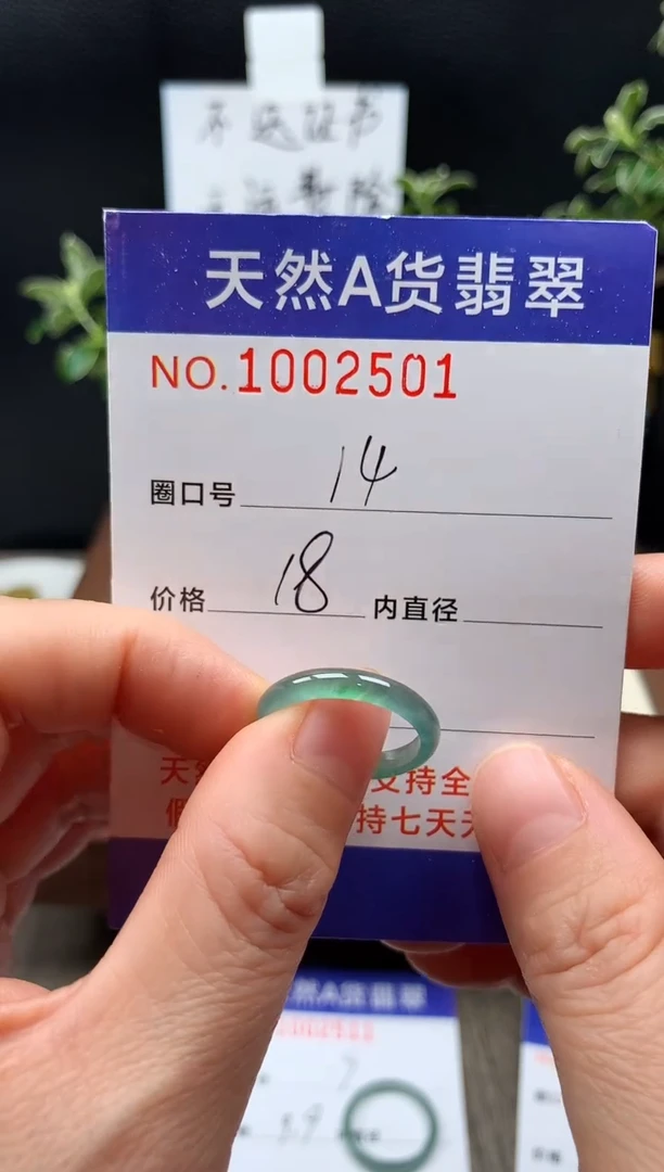 未镶嵌戒指翡翠14#