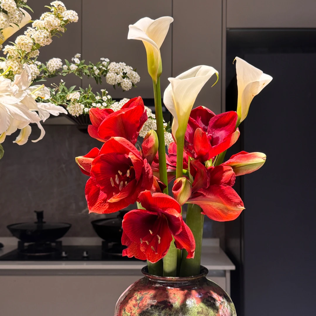 半热情半清冷花材（朱顶红外瓣干撕掉就可以，马蹄莲高水位养开）