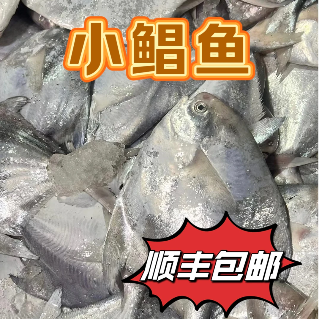 黄海渔港【一斤8-10条】新粉送2斤 海捕银鲳鱼小鲳鱼福利款 到手5斤