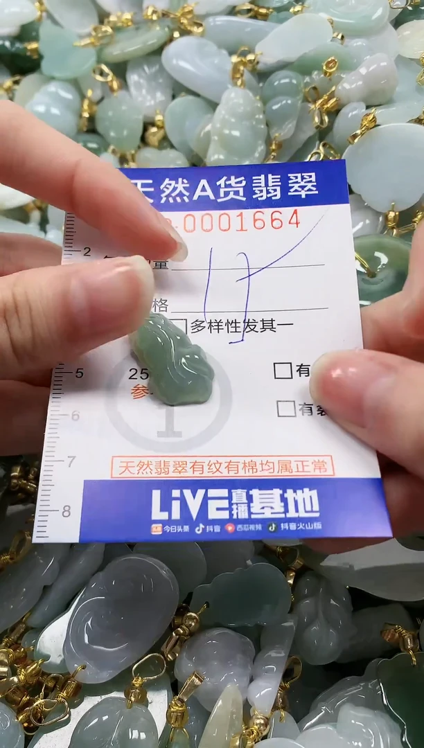 颈饰未镶嵌翡翠纯天然a货翡翠