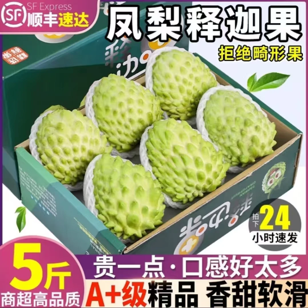 椰岛阿妹【京东/顺丰空运】海南牛奶释迦果新鲜采摘 软糯浓香礼盒