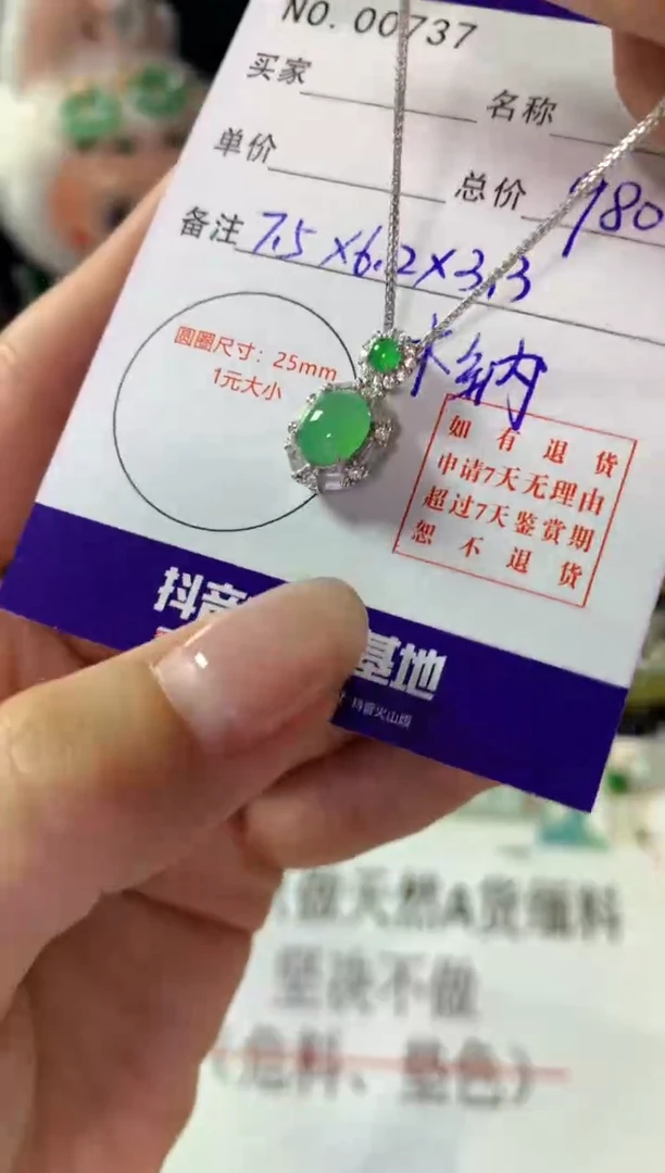 翡翠银S925镶嵌颈饰翡翠